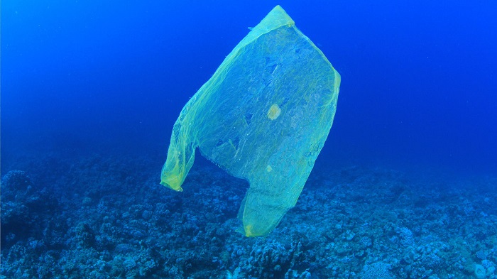 OpEd: Is banning plastic bags in Taiwan necessary? | Estella Tong – Grade 8
