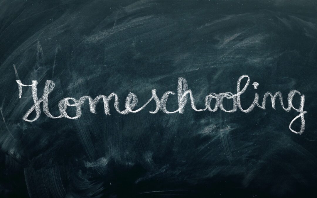 Homeschooling and why it is better than normal schools | Kira Lei Chen – Grade 7
