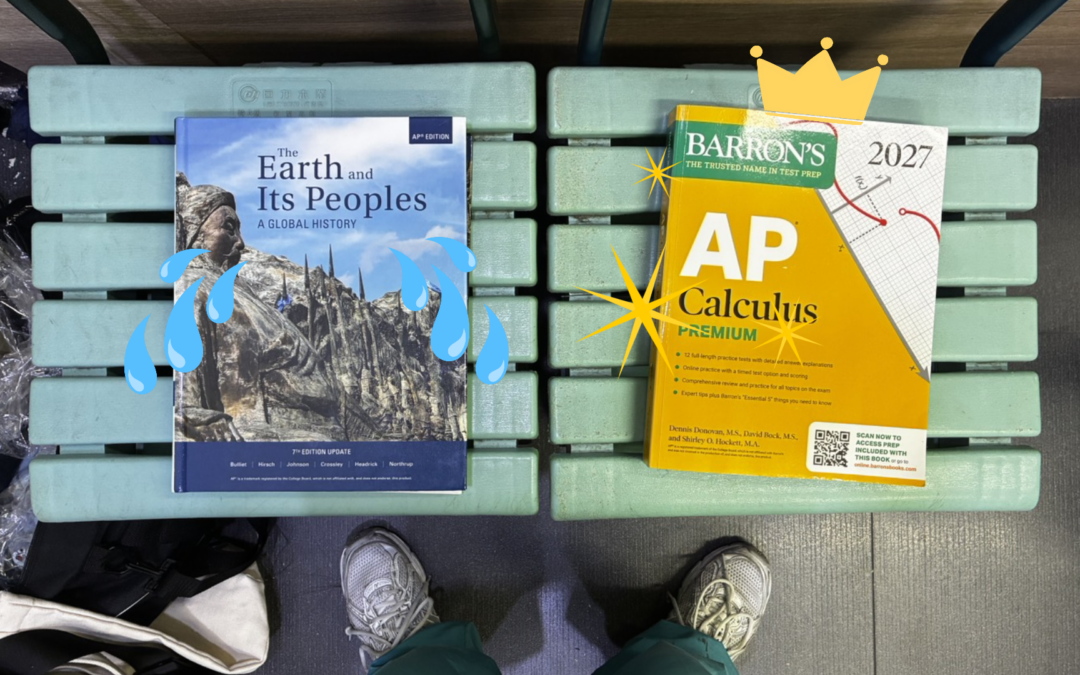 Down With the Cult of STEM